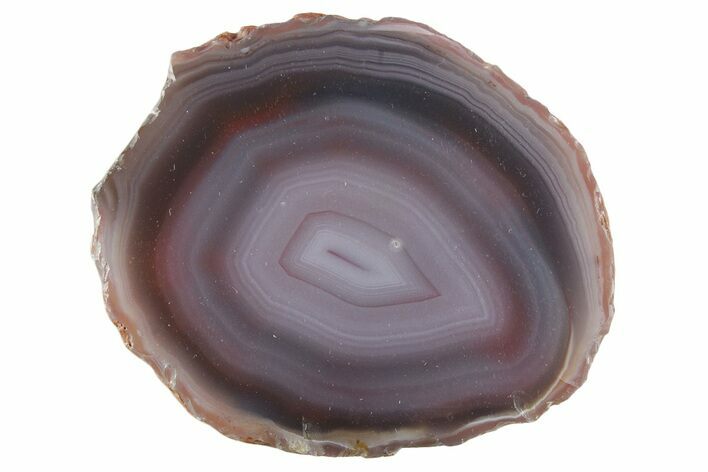Colorful Polished Banded Agate - Zimbabwe #355901